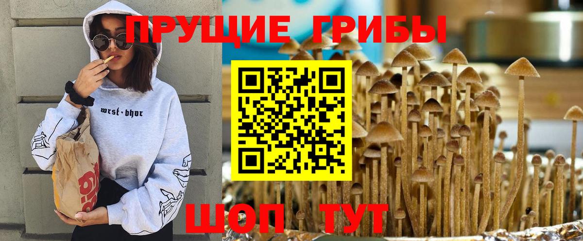 Псилоцибиновые грибы прущие грибы  Вход с VPN  купить закладку  Галлюциногенные грибы Psilocybine cubensis  Сарапул 